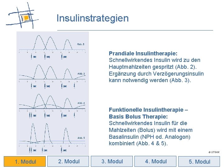 Insulinstrategien Prandiale Insulintherapie: Schnellwirkendes Insulin wird zu den Hauptmahlzeiten gespritzt (Abb. 2). Ergänzung durch
