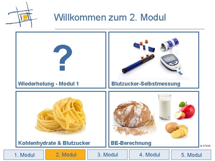 Willkommen zum 2. Modul ? Wiederholung - Modul 1 Blutzucker-Selbstmessung Kohlenhydrate & Blutzucker BE-Berechnung