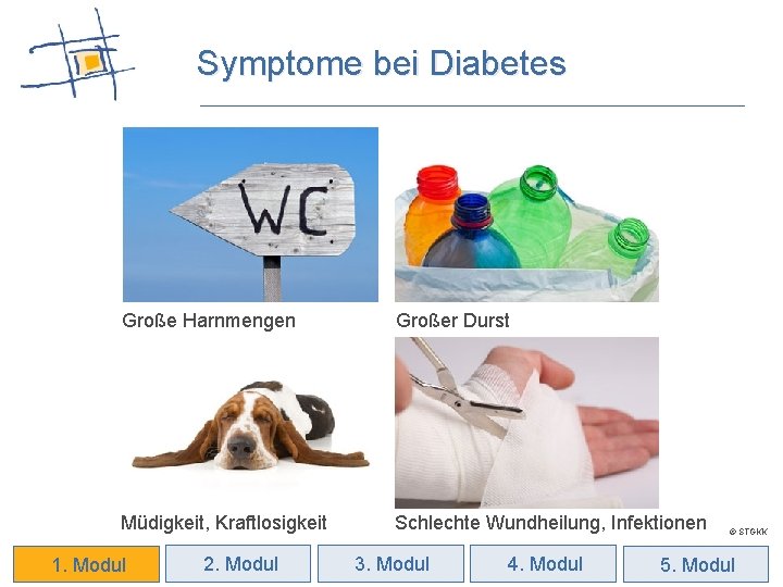 Symptome bei Diabetes Große Harnmengen Großer Durst Müdigkeit, Kraftlosigkeit Schlechte Wundheilung, Infektionen 1. Modul