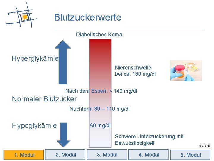 Blutzuckerwerte Diabetisches Koma Hyperglykämie Nierenschwelle bei ca. 180 mg/dl Nach dem Essen: < 140