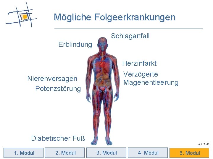 Mögliche Folgeerkrankungen Schlaganfall Erblindung Herzinfarkt Verzögerte Magenentleerung Nierenversagen Potenzstörung Diabetischer Fuß © STGKK 1.