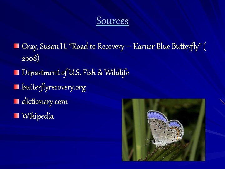 Sources Gray, Susan H. “Road to Recovery – Karner Blue Butterfly” ( 2008) Department