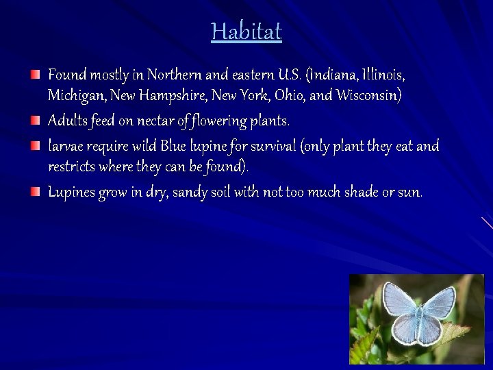 Habitat Found mostly in Northern and eastern U. S. (Indiana, Illinois, Michigan, New Hampshire,