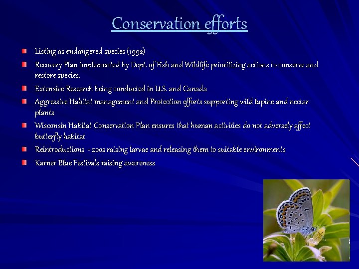 Conservation efforts Listing as endangered species (1992) Recovery Plan implemented by Dept. of Fish