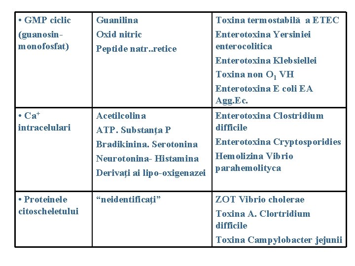  • GMP ciclic (guanosinmonofosfat) Guanilina Oxid nitric Peptide natr. . retice Toxina termostabilă