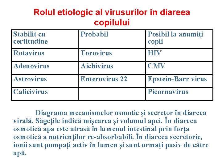 Rolul etiologic al virusurilor în diareea copilului Stabilit cu certitudine Probabil Posibil la anumiţi