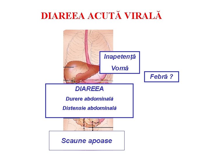 DIAREEA ACUTĂ VIRALĂ Inapetenţă Vomă Febră ? DIAREEA Durere abdominală Distensie abdominală Scaune apoase