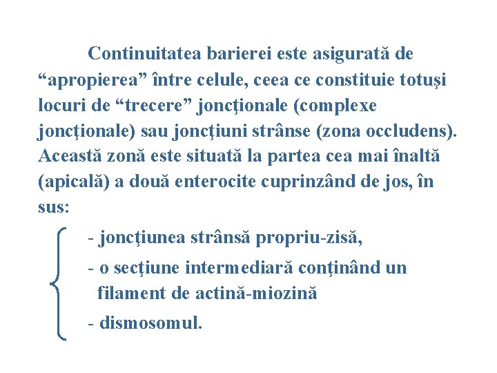 Continuitatea barierei este asigurată de “apropierea” între celule, ceea ce constituie totuşi locuri de