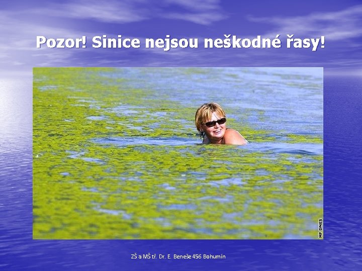 Pozor! Sinice nejsou neškodné řasy! ZŠ a MŠ tř. Dr. E. Beneše 456 Bohumín