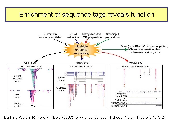 Enrichment of sequence tags reveals function Barbara Wold & Richard M Myers (2008) “Sequence