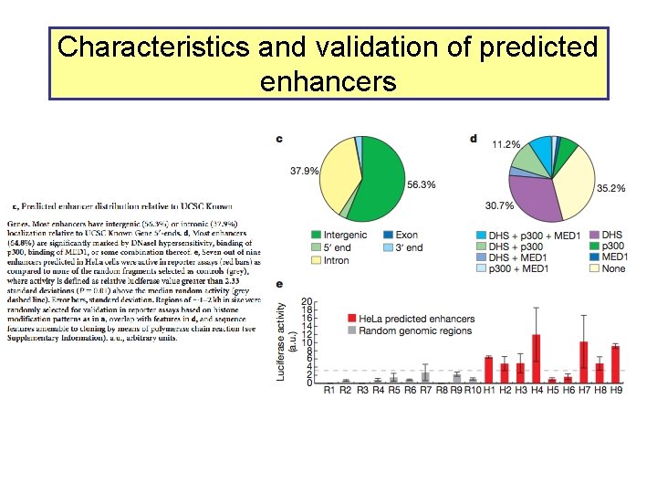 Characteristics and validation of predicted enhancers 