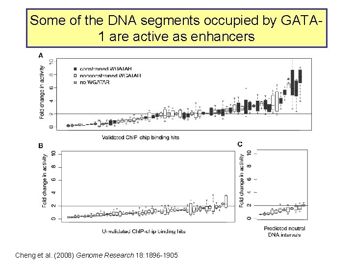 Some of the DNA segments occupied by GATA 1 are active as enhancers Cheng