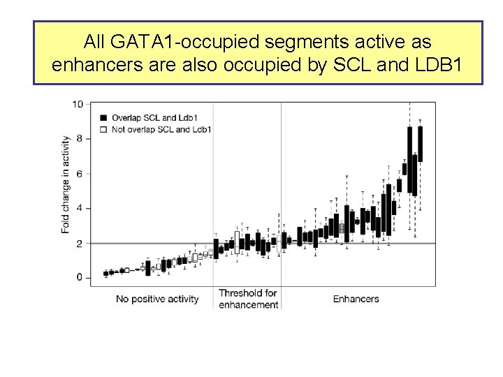 All GATA 1 -occupied segments active as enhancers are also occupied by SCL and