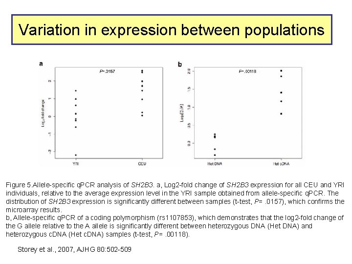 Variation in expression between populations Figure 5. Allele-specific q. PCR analysis of SH 2