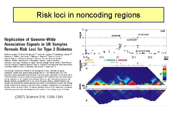 Risk loci in noncoding regions (2007) Science 316: 1336 -1341 