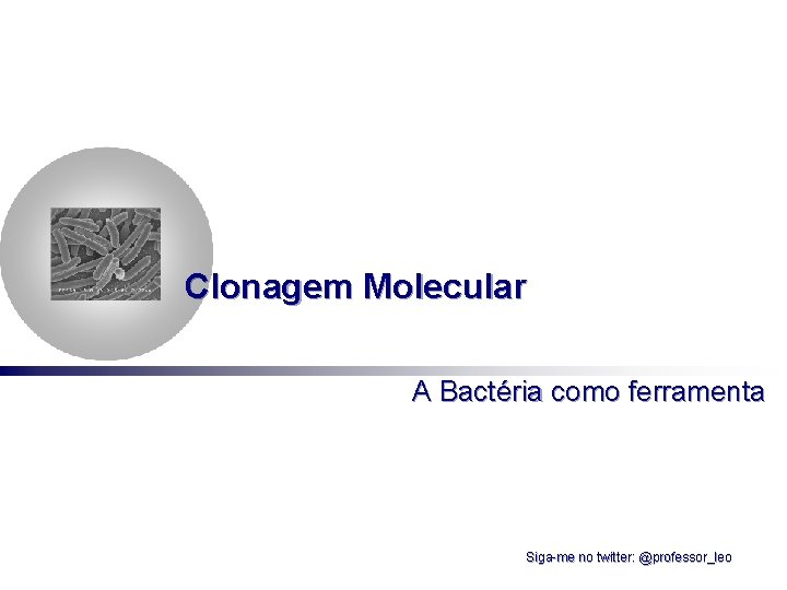 Clonagem Molecular A Bactéria como ferramenta Siga-me no twitter: @professor_leo 