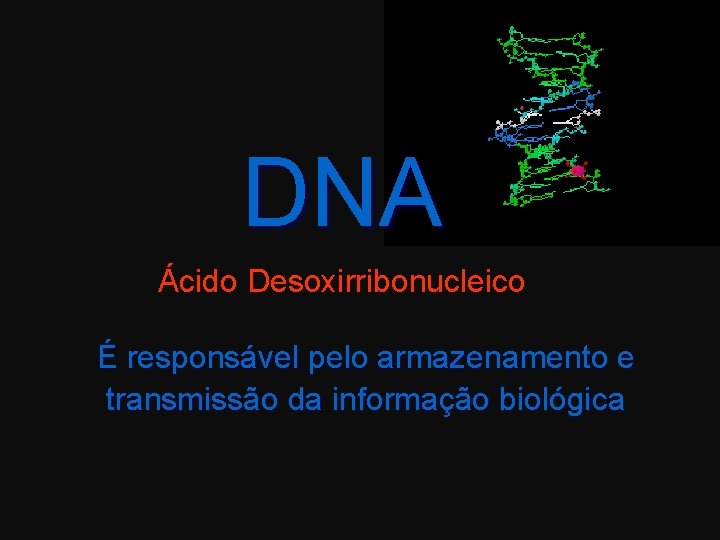 DNA Ácido Desoxirribonucleico É responsável pelo armazenamento e transmissão da informação biológica 
