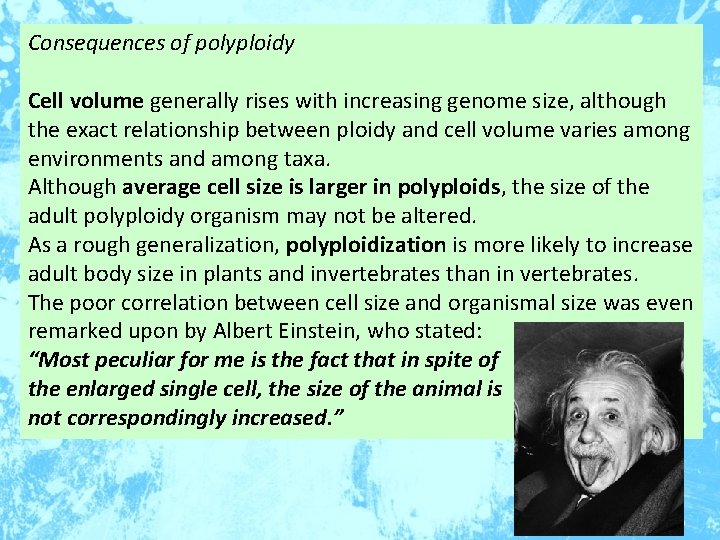 Consequences of polyploidy Cell volume generally rises with increasing genome size, although the exact
