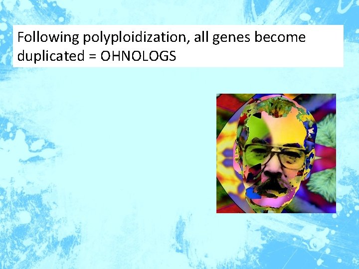 Following polyploidization, all genes become duplicated = OHNOLOGS 