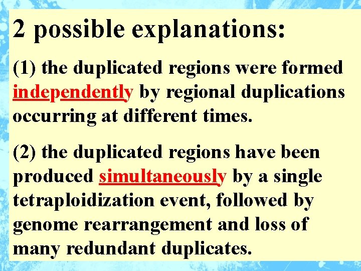 2 possible explanations: (1) the duplicated regions were formed independently by regional duplications occurring