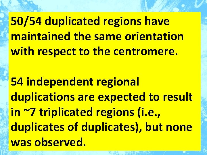 50/54 duplicated regions have maintained the same orientation with respect to the centromere. 54