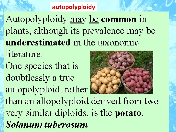 autopolyploidy Autopolyploidy may be common in plants, although its prevalence may be underestimated in