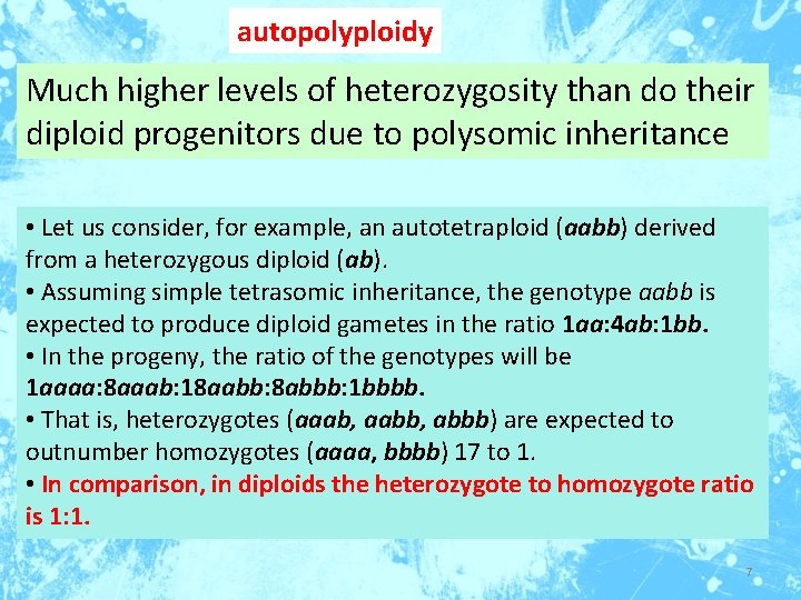 autopolyploidy Much higher levels of heterozygosity than do their diploid progenitors due to polysomic