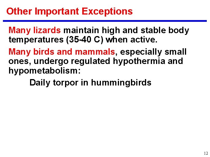 Other Important Exceptions Many lizards maintain high and stable body temperatures (35 -40 C)