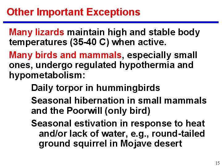 Other Important Exceptions Many lizards maintain high and stable body temperatures (35 -40 C)