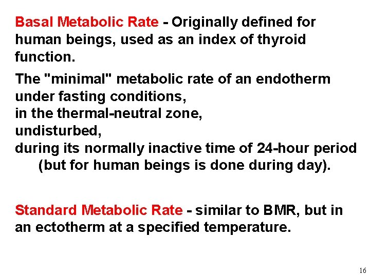 Basal Metabolic Rate - Originally defined for human beings, used as an index of