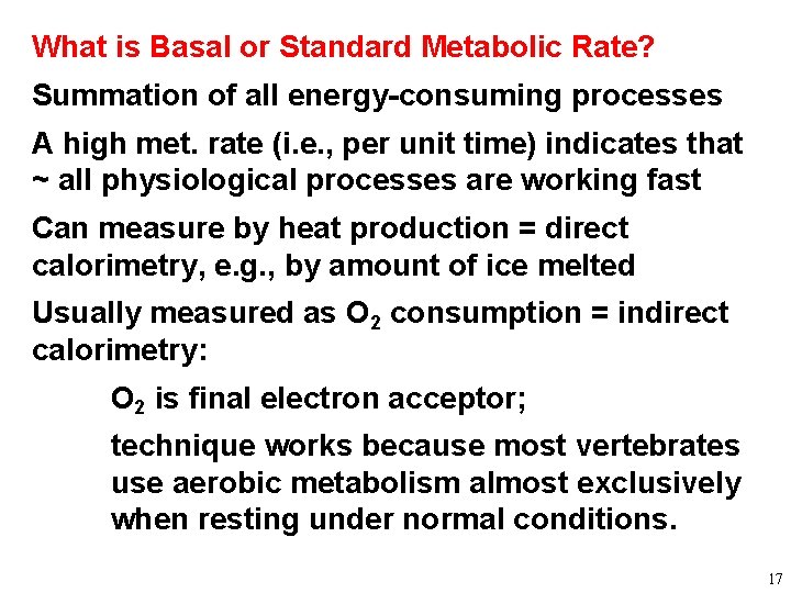 What is Basal or Standard Metabolic Rate? Summation of all energy-consuming processes A high