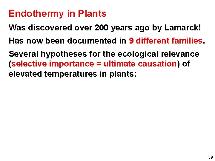 Endothermy in Plants Was discovered over 200 years ago by Lamarck! Has now been