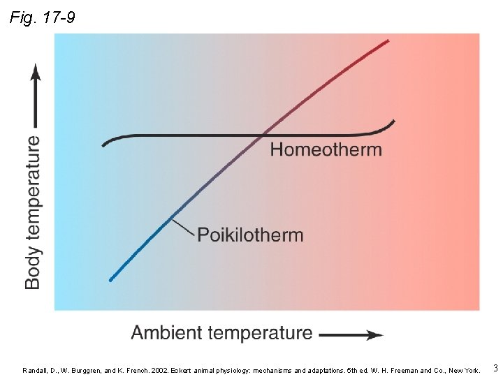 Fig. 17 -9 Randall, D. , W. Burggren, and K. French. 2002. Eckert animal