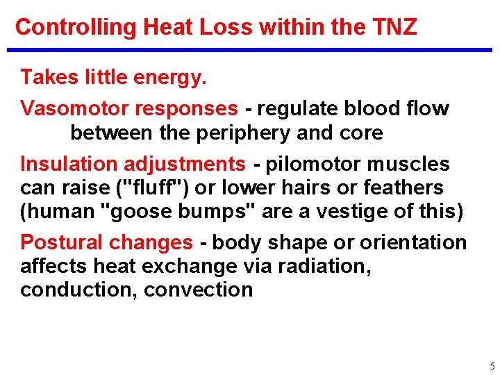 Controlling Heat Loss within the TNZ Takes little energy. Vasomotor responses - regulate blood