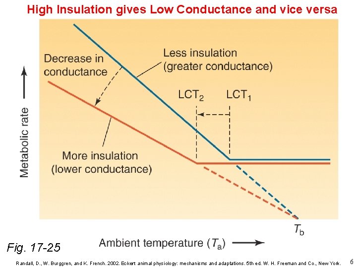 High Insulation gives Low Conductance and vice versa Fig. 17 -25 Randall, D. ,