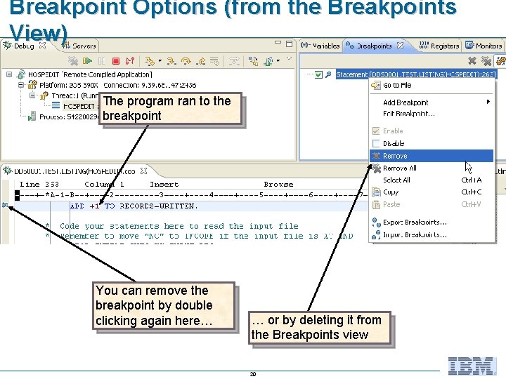 Breakpoint Options (from the Breakpoints View) The program ran to the breakpoint You can