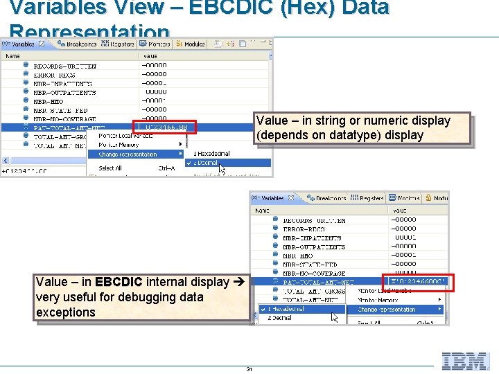 Variables View – EBCDIC (Hex) Data Representation Value – in string or numeric display