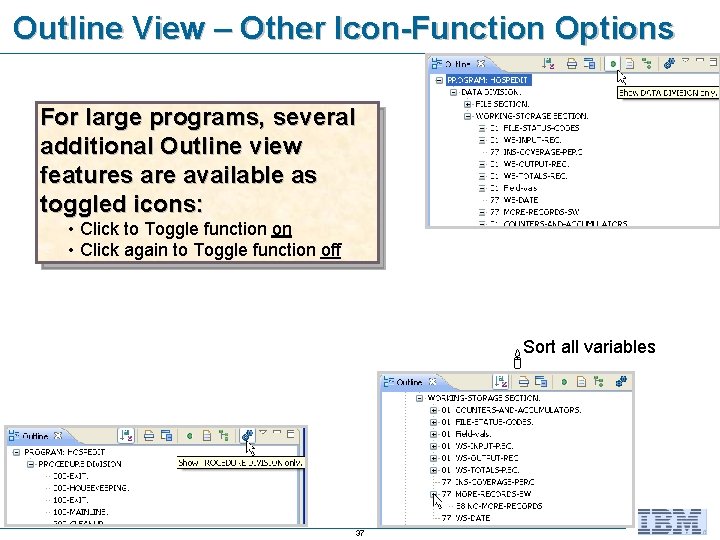 Outline View – Other Icon-Function Options For large programs, several additional Outline view features