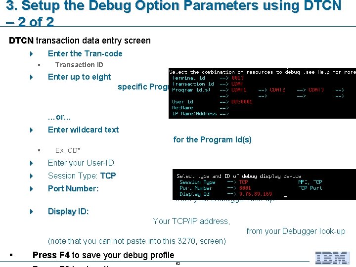 3. Setup the Debug Option Parameters using DTCN – 2 of 2 DTCN transaction