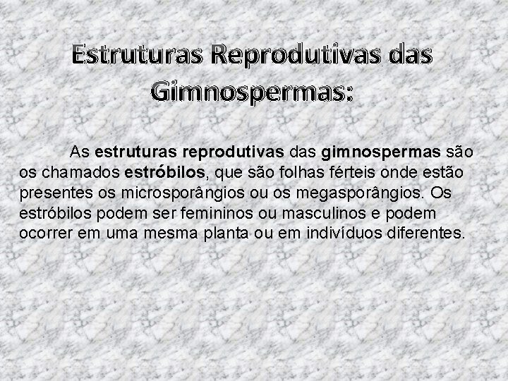 Estruturas Reprodutivas das Gimnospermas: As estruturas reprodutivas das gimnospermas são os chamados estróbilos, que