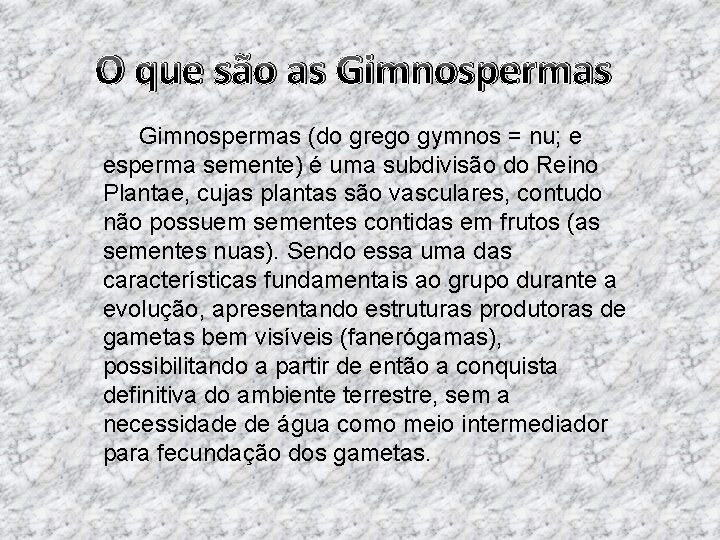 O que são as Gimnospermas (do grego gymnos = nu; e esperma semente) é