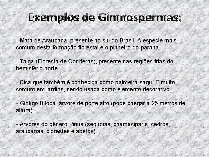 Exemplos de Gimnospermas: - Mata de Araucária, presente no sul do Brasil. A espécie