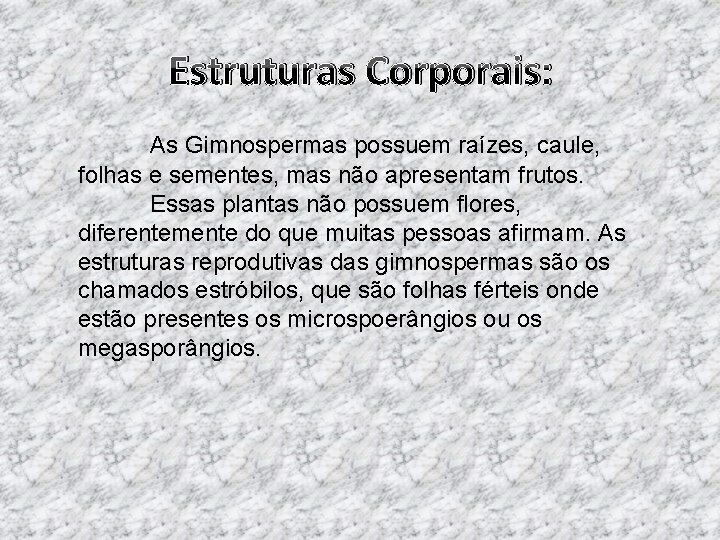 Estruturas Corporais: As Gimnospermas possuem raízes, caule, folhas e sementes, mas não apresentam frutos.