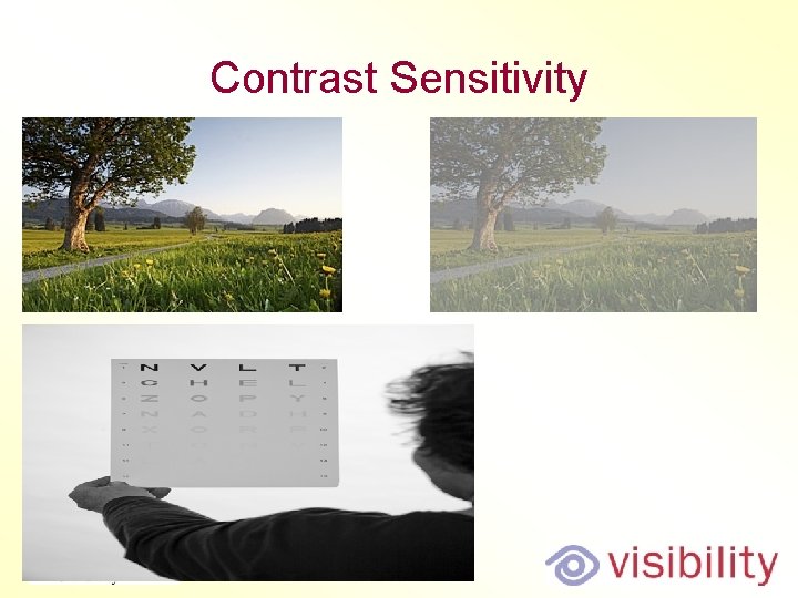 Contrast Sensitivity Contrast Sensitivity