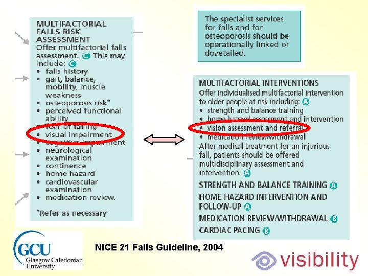 NICE 21 Falls Guideline, 2004 