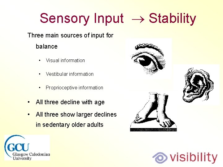 Sensory Input Stability Three main sources of input for balance • Visual information •