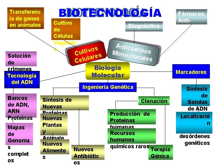 Transferenc ia de genes en animales Solución de crimenes Tecnología del ADN Bancos de