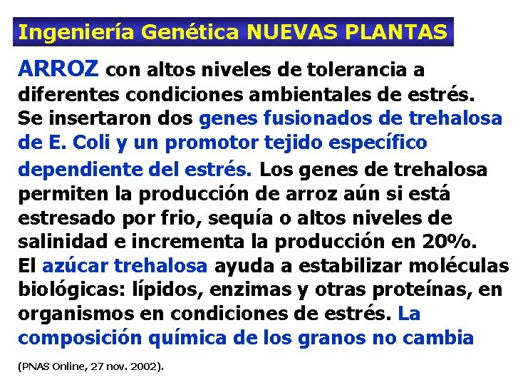 Ingeniería Genética NUEVAS PLANTAS ARROZ con altos niveles de tolerancia a diferentes condiciones ambientales