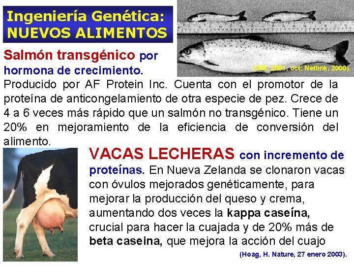 Ingeniería Genética: NUEVOS ALIMENTOS Salmón transgénico por (ISB, 2001, oct; Netlink, 2000). hormona de