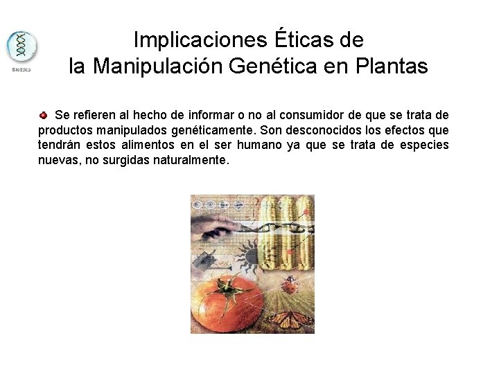 Implicaciones Éticas de la Manipulación Genética en Plantas Se refieren al hecho de informar